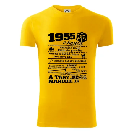 1955 v kostce