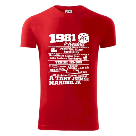1981 v kostce