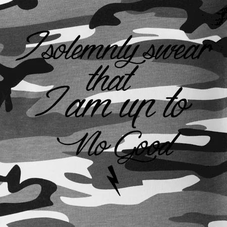 I solemnly swear that I'm up to no good
