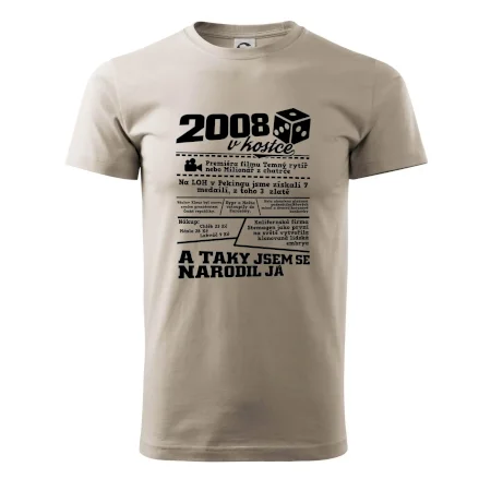 2008 v kostce