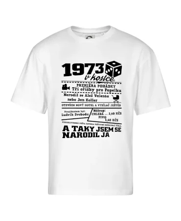1973 v kostce