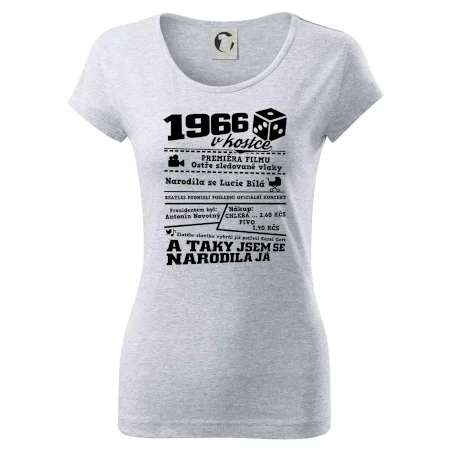 1966 v kostce
