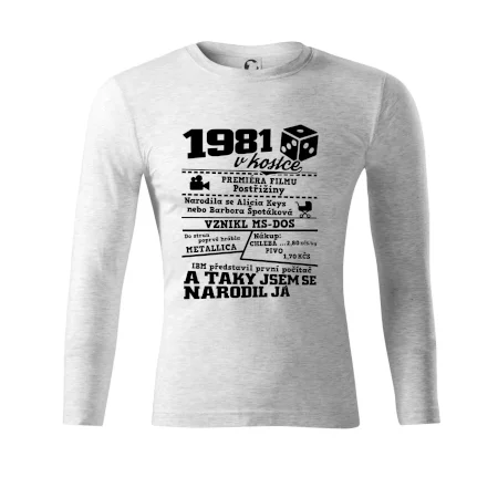1981 v kostce