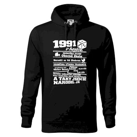 1991 v kostce
