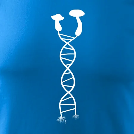DNA houby