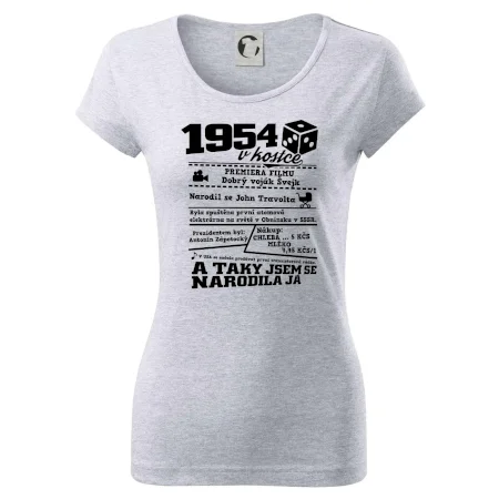 1954 v kostce