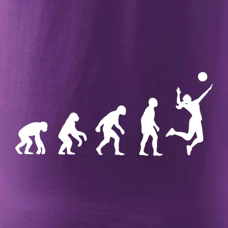 Evoluce volejbal culík