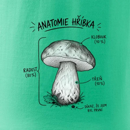 Anatomie hříbka