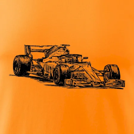 Formule v závodě