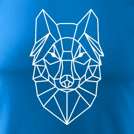 Geometrie - vlk