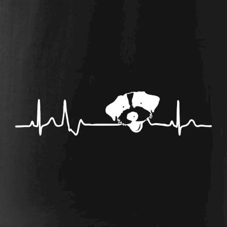 Jack Russell Terriér hrubosrstý Ekg