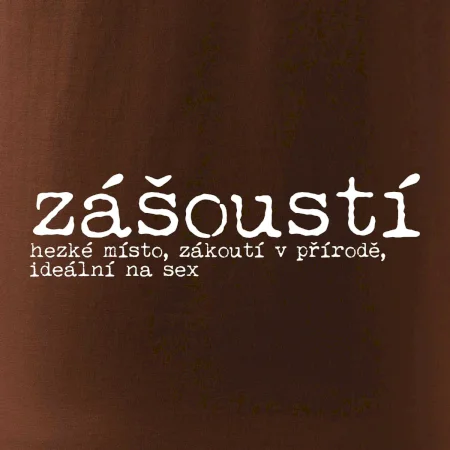 Čeština 2.0 - zášoustí