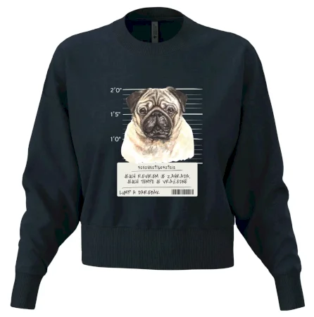 Lump a darebák mopsík