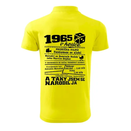 1965 v kostce