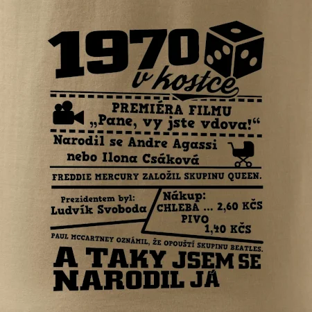 1970 v kostce