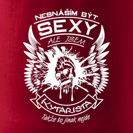 Nesnáším být sexy - kytarista
