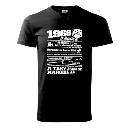 1966 v kostce