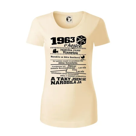 1963 v kostce