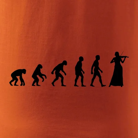 Evoluce houslistka