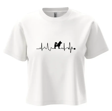 Shiba-Inu EKG
