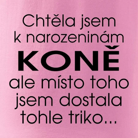 Chtěla jsem dostat k narozeninám koně