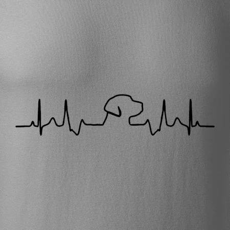 Labrador EKG