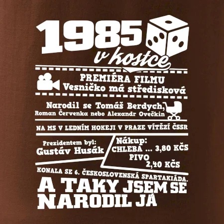 1985 v kostce