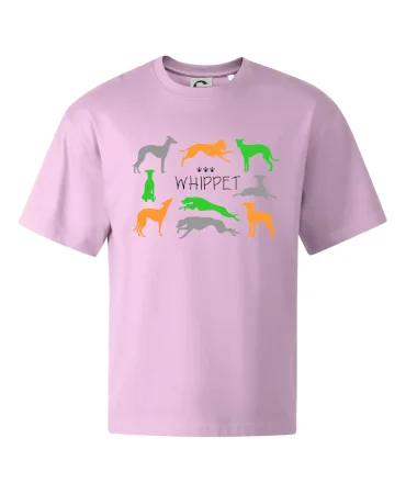 Whippet barevný
