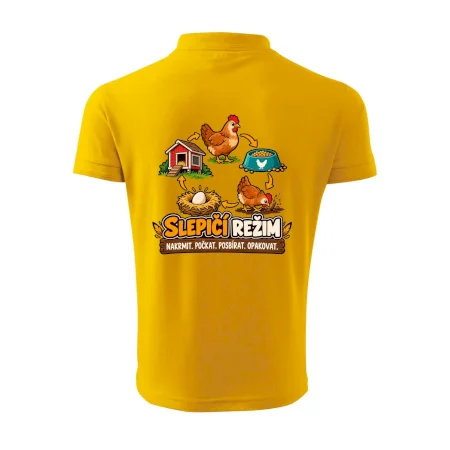 Slepičí režim od krmení po sběr vajec