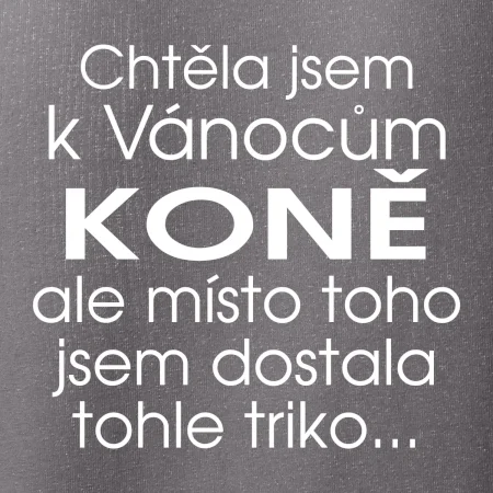 Chtěla jsem k Vánocům koně