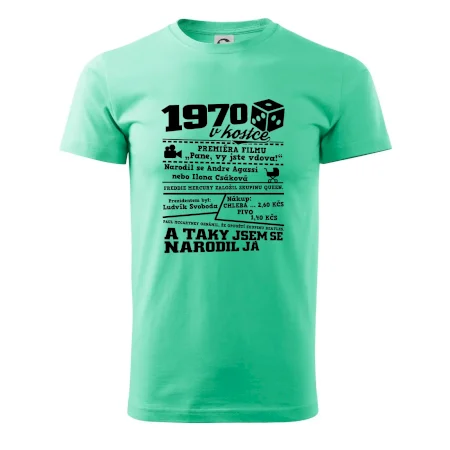 1970 v kostce