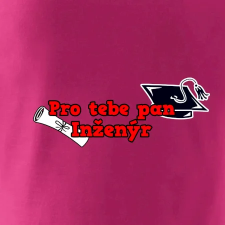 Pro tebe pan Inženýr