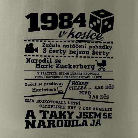 1984 v kostce