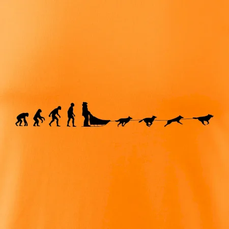 Evoluce psí spřežení