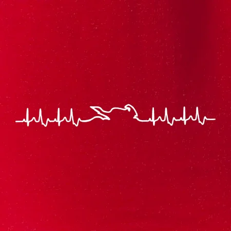 Moto EKG