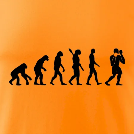 Evoluce box