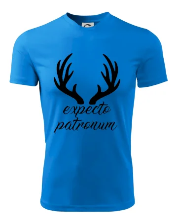 Harry - Expecto patronum