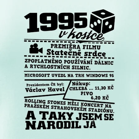1995 v kostce