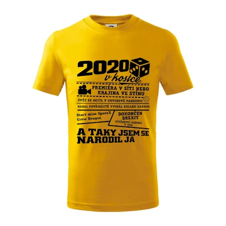 2020 v kostce