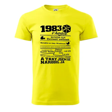 1983 v kostce