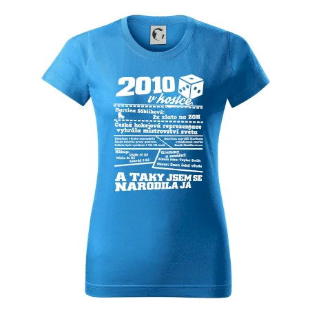 2010 v kostce