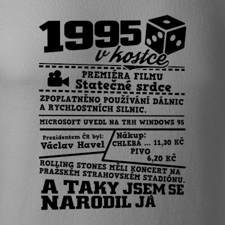 1995 v kostce