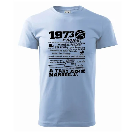 1973 v kostce