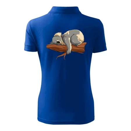 Koala na větvi