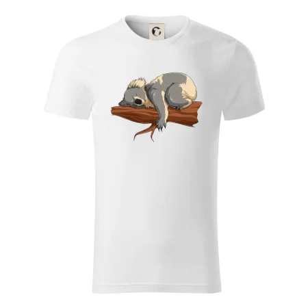 Koala na větvi