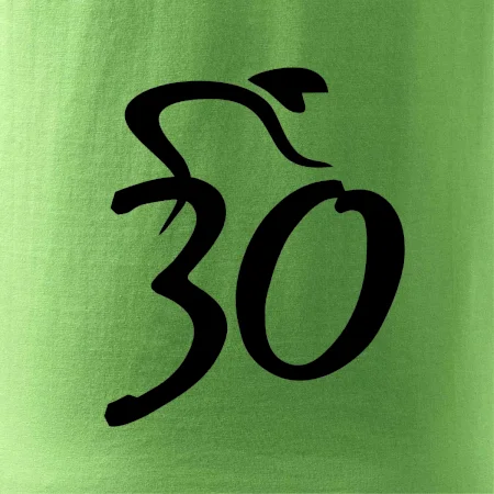 Cyklista slaví třicítku (30)