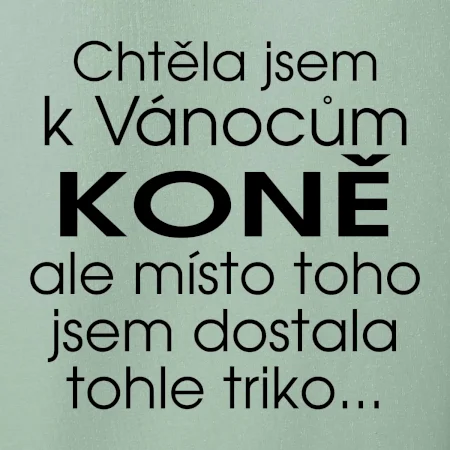 Chtěla jsem k Vánocům koně