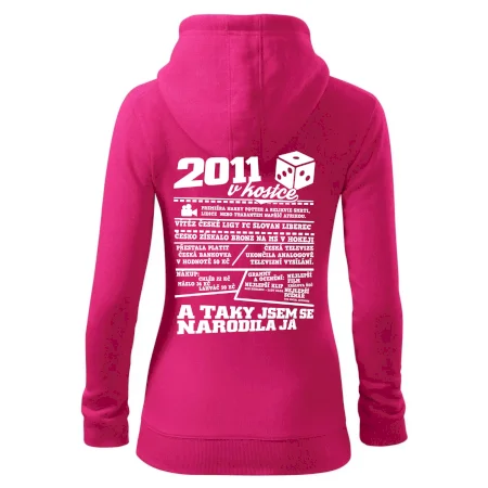 2011 v kostce