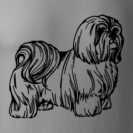 Shih-tzu - chlupatý