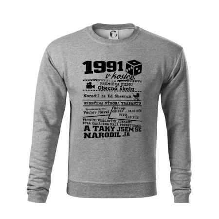 1991 v kostce